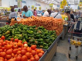 IBGE: prévia da inflação foi de 0.31% em janeiro, menor que o índice de dezembro - Foto: Helena Pontes/Agência IBGE Notícias