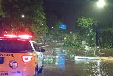 Defesa Civil de Porto Alegre está com todas as equipes na rua atuando nas ocorrências oriundas do temporal Temos registros de muitas quedas de árvores. Foto: Defesa Civil/Porto Alegre