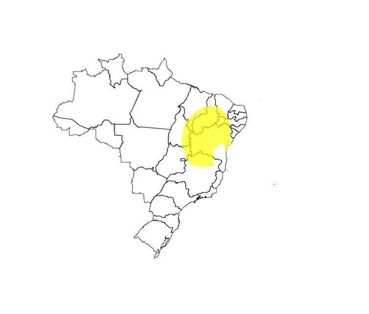 Brasília (DF) 22/11/2024 - Inmet prevê chuva volumosa em todo o Nordeste até sexta-feira Mapa ALERT-AS/Divulgação