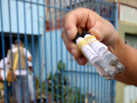 Ministério da Saúde, estados e municípios unem esforços para ações de enfrentamento da dengue -