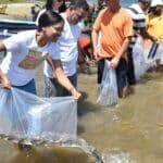 Sergipe-21/01/2024 Codevasf realizou peixamentos em três municípios sergipanos A Companhia de Desenvolvimento dos Vales do São Francisco e do Parnaíba (Codevasf) Foto/CODEVASF/Divulgação.