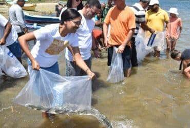 Sergipe-21/01/2024 Codevasf realizou peixamentos em três municípios sergipanos A Companhia de Desenvolvimento dos Vales do São Francisco e do Parnaíba (Codevasf) Foto/CODEVASF/Divulgação.