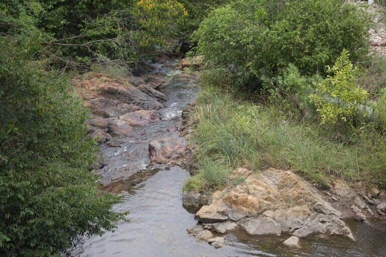 Novas diretrizes do Programa Produtor de Água entram em vigor nesta segunda - Foto: Divulgação