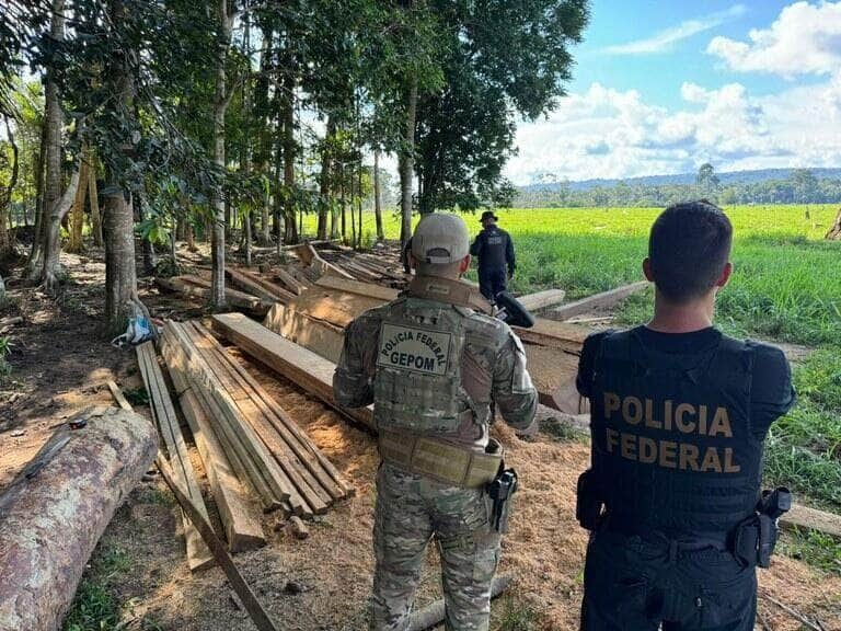 PF combate crimes ambientais em reserva extrativista de Rondônia - Foto: Divulgação