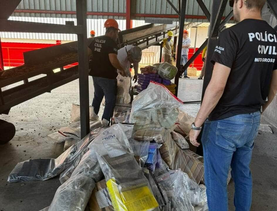 policia civil desarticulou associacoes criminosas e destruiu mais de 37 toneladas de drogas na fronteira interna 2 2024 01 13 1984801519