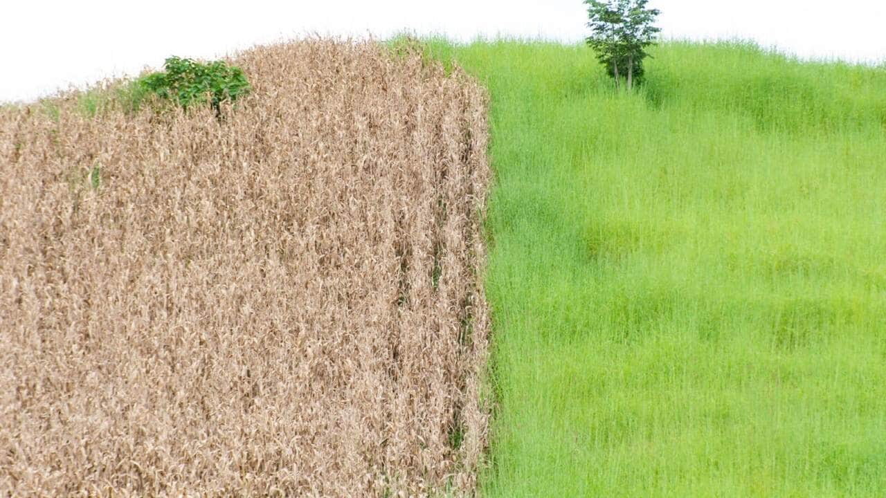 previsão do tempo clima - Fotos por Canva