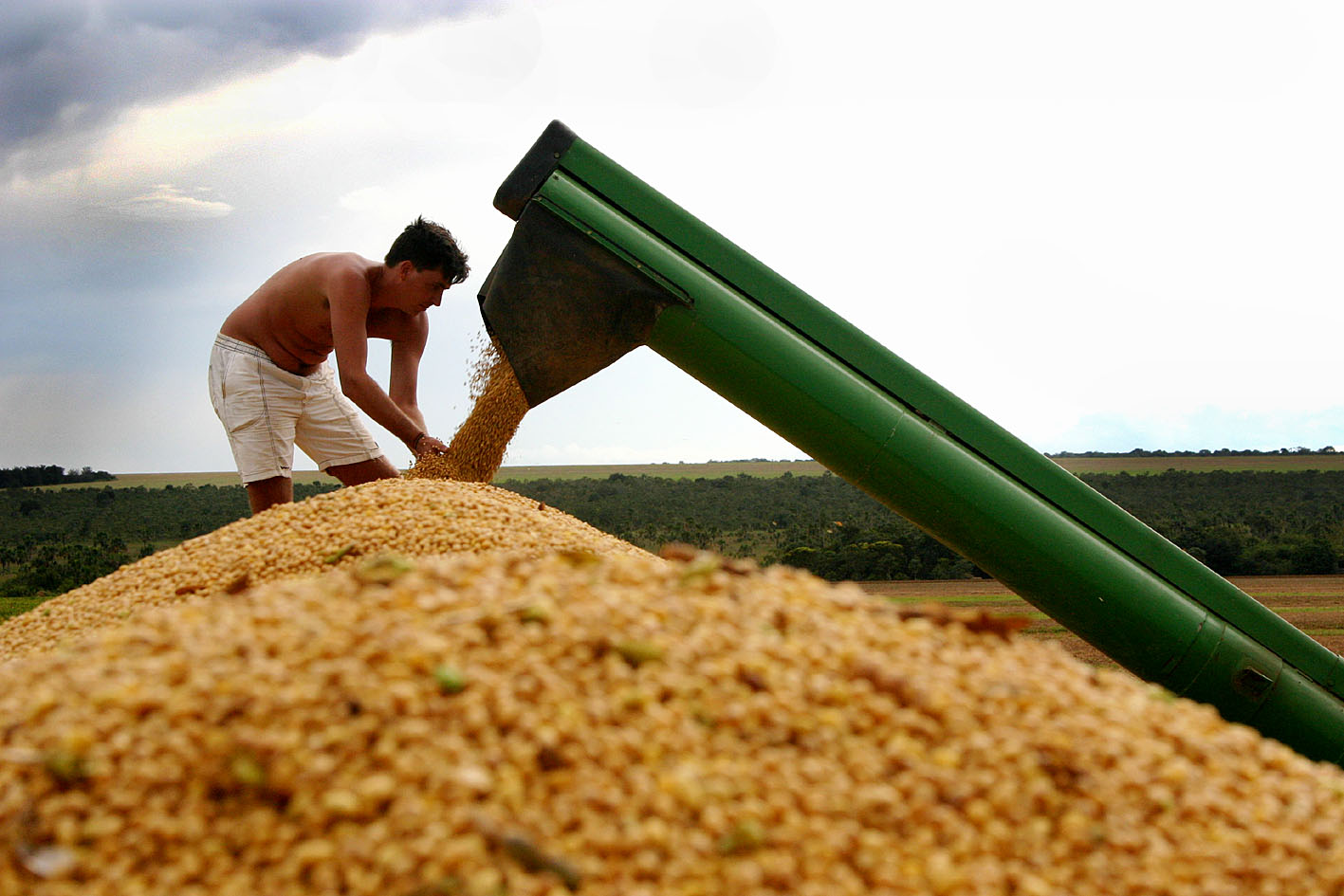 O milho foi o produto mais exportado pelos novos mercados.  - Foto por: Assessoria Sedec-MT
