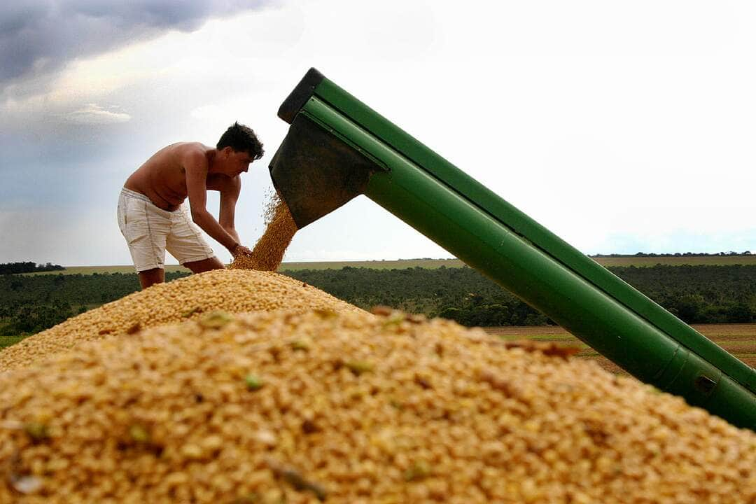 O milho foi o produto mais exportado pelos novos mercados.  - Foto por: Assessoria Sedec-MT