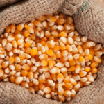 ProVB terá R$ 105 milhões para equalização de preços do milho