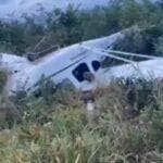 Avião de pequeno porte cai em fazenda na zona rural de Nova Canãa do Norte 