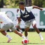 Palmeiras x Ponte Preta ao vivo; onde assistir, horário e escalações do jogo deste sábado (16) pelo Paulistão. Foto: Cesar Greco/Ag. Palmeiras