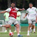 Palmeiras x Corinthians ao vivo; onde assistir ao jogo do Palmeiras neste domingo (18). Foto: Cesar Greco/Ag. Corinthians