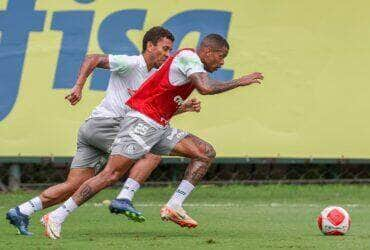 Palmeiras x Mirassol ao vivo; onde assistir, horário e escalações do jogo deste sábado (24) pelo Paulistão. Foto: Fábio Menotti/Ag. Palmeiras