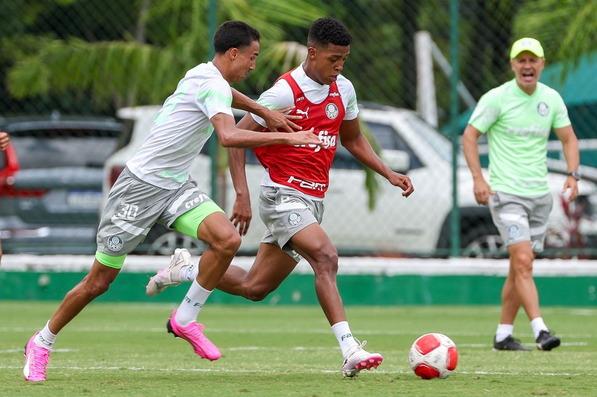 Portuguesa x Palmeiras ao vivo; onde assistir, horário e escalações da partida desta quarta (28) pelo Paulistão. Foto: Fabio Menotti/Palmeiras