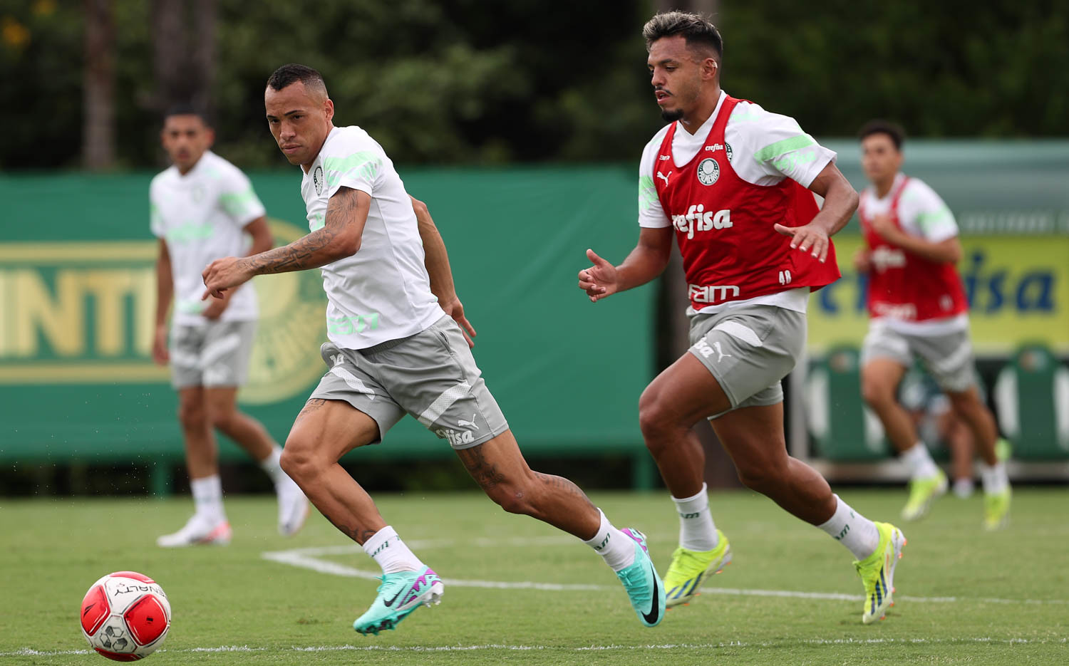 Santo André x Palmeiras ao vivo; onde assistir ao jogo do Palmeiras nesta segunda (12). Foto: Cesar Greco/Ag. Palmeiras