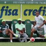 Santo André x Palmeiras ao vivo; onde assistir ao jogo do Palmeiras nesta segunda (12). Foto: Cesar Greco/Ag. Palmeiras