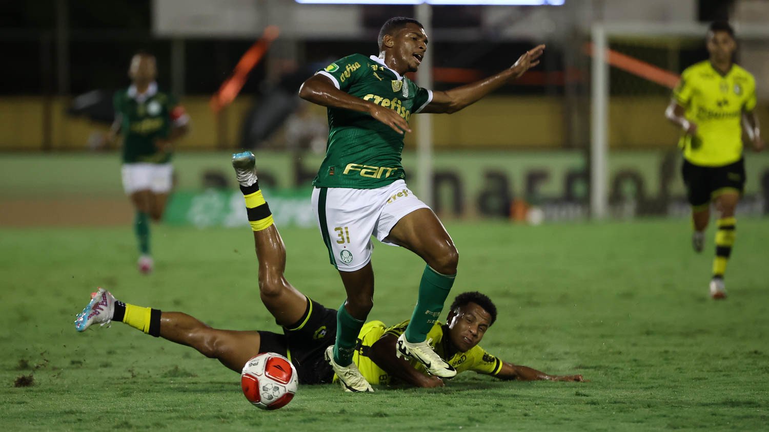 Lance de São Bernardo x Palmeiras. Foto: Cesar Greco/Ag. Palmeiras