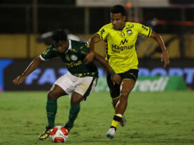 Lance de São Bernardo x Palmeiras. Foto: Cesar Greco/Ag. Palmeiras