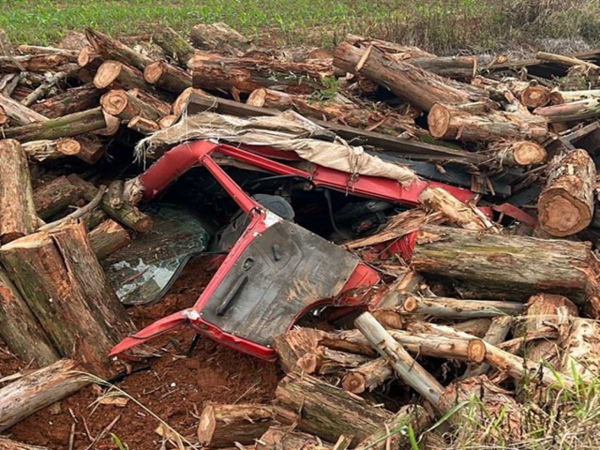 Motorista "nasce de novo" após pular de caminhão em movimento e carga de madeira esmagar cabine.