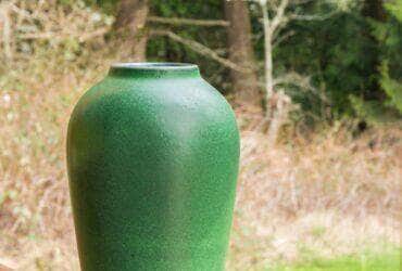 árvore de jade em um vaso elegante