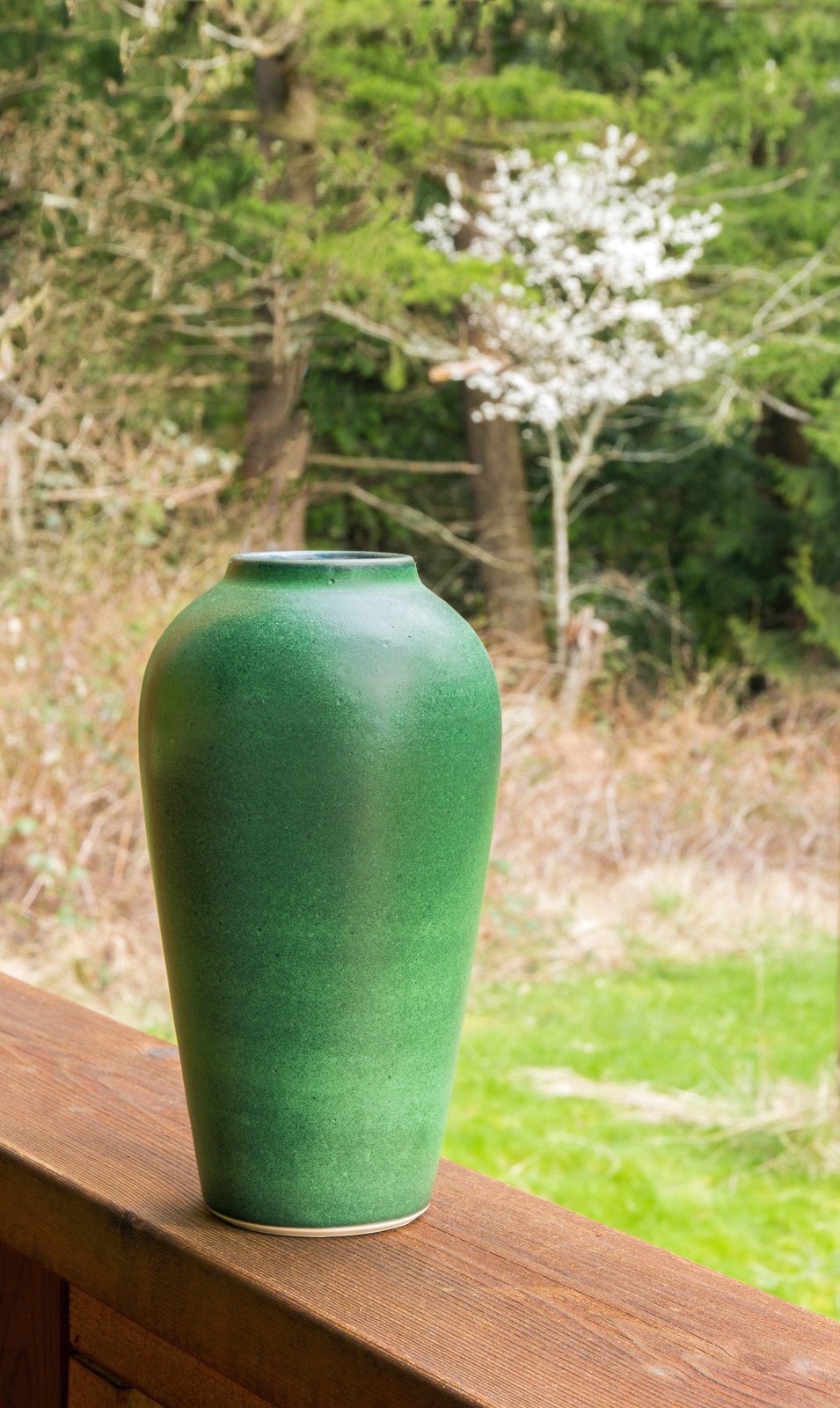 árvore de jade em um vaso elegante