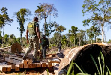 Período proibitivo para exploração do manejo florestal sustentável segue até 1º de abril