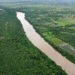 Projetos de preservacao em reserva ambiental recebem investimento do Ministerio Publico de Mato Grosso