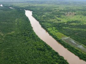 Projetos de preservacao em reserva ambiental recebem investimento do Ministerio Publico de Mato Grosso