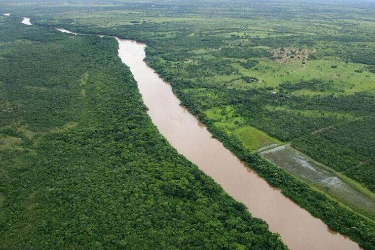 Projetos de preservacao em reserva ambiental recebem investimento do Ministerio Publico de Mato Grosso