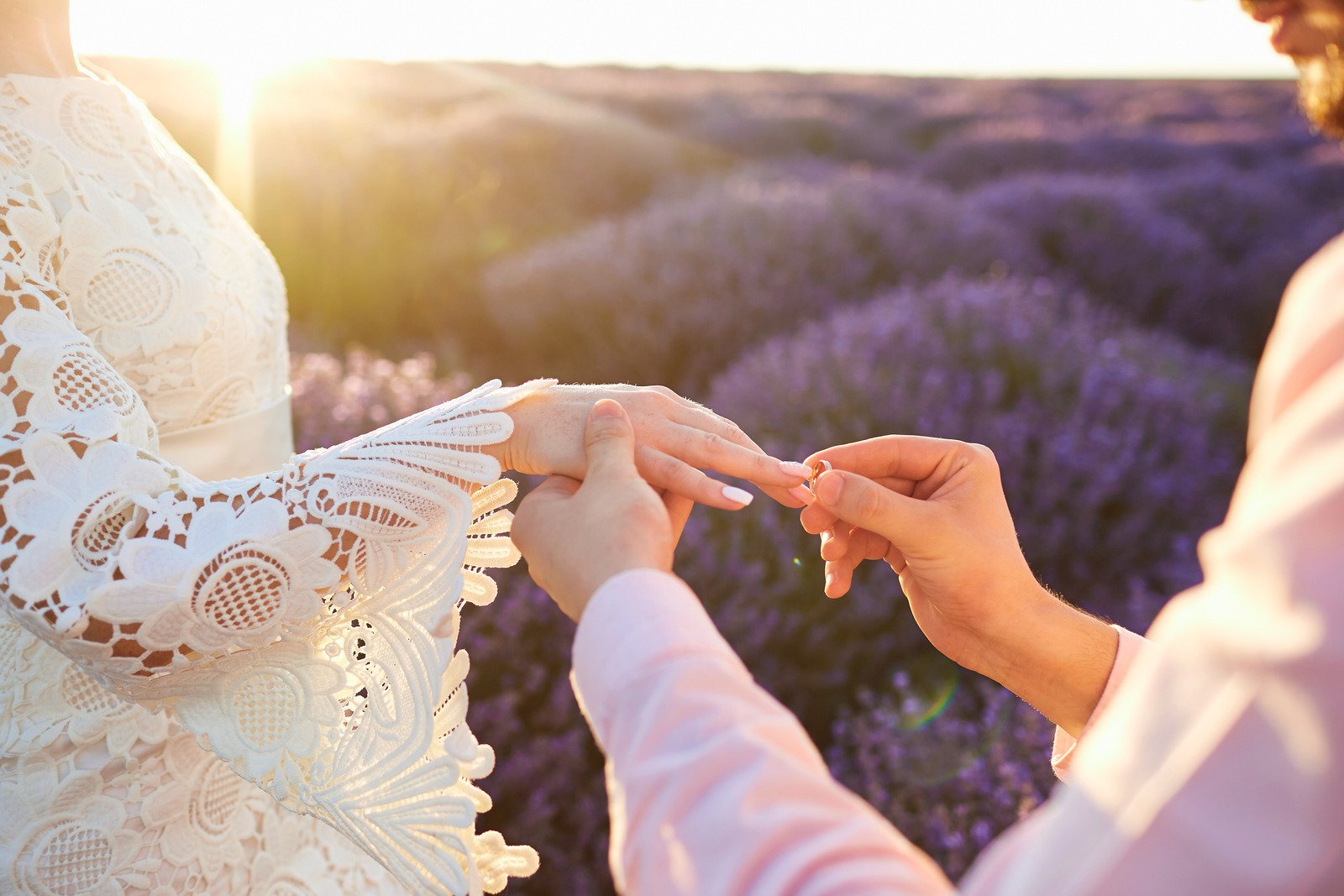 Proposta de casamento em um campo de lavanda. - Fotos do Canva