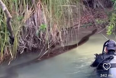Fotógrafo registra momento impressionante da cobra deslizando pelas águas cristalinas do rio Formosa em Bonito, Mato Grosso do Sul