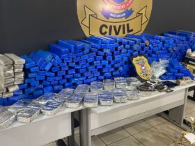 Polícia Civil apreende mais de 350 tabletes de entorpecentes de facção criminosa em Tangará da Serra