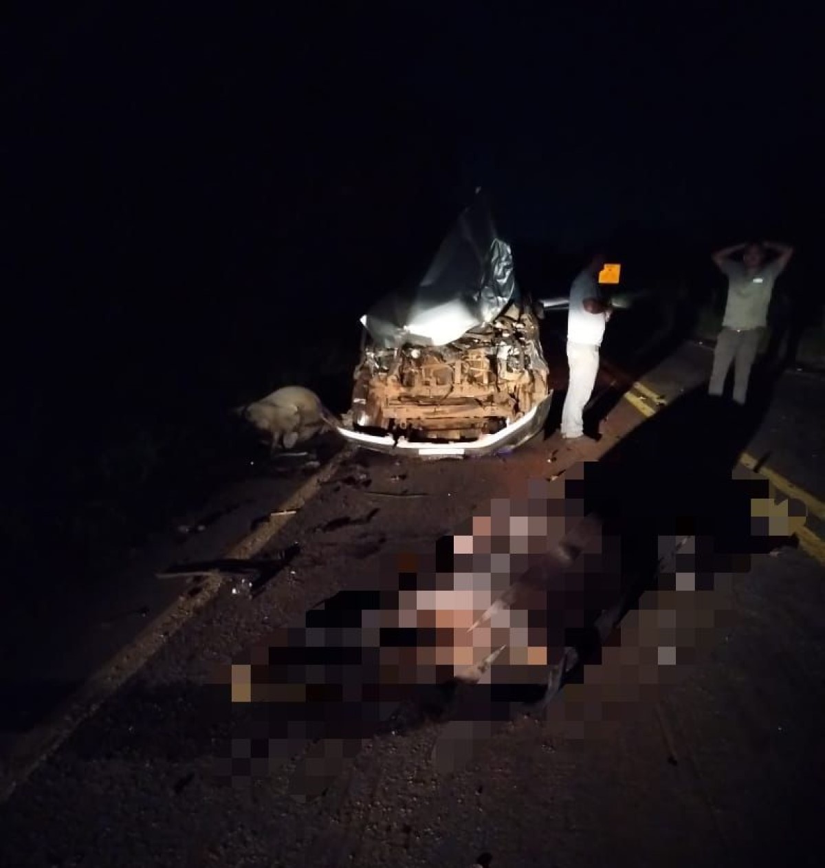 Motorista colide com bovinos na MT-251 e causa morte de quatro animais