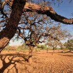 ANA lança estudo sobre impactos da mudança climática em quatro regiões do Brasil - Foto: Arquivo/Agência Brasil