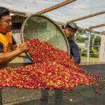 Chamada seleciona 10 projetos para alimentação sustentável na Amazônia Legal -