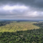 Mato Grosso reforça fiscalização contra desmatamento ilegal e uso irregular do fogo