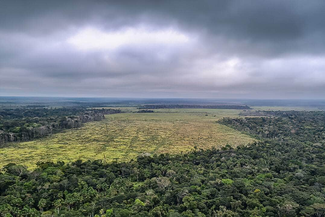 Mato Grosso reforça fiscalização contra desmatamento ilegal e uso irregular do fogo