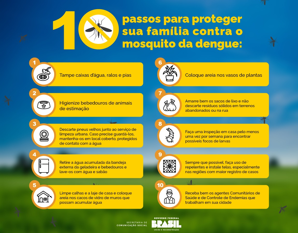 Infográfico 1 - 10 passos para proteger sua família contra o mosquito