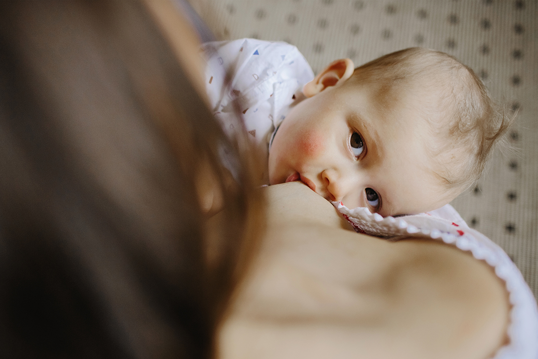 doacao de leite materno beneficiou 1.679 bebes prematuros hospitalizados interna 2 2024 02 18 1539445469