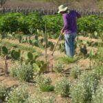 Evento discute obtenção de terras para destinação à reforma agrária - Foto: Divulgação/Agência Brasil