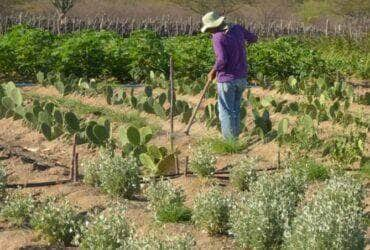 Evento discute obtenção de terras para destinação à reforma agrária - Foto: Divulgação/Agência Brasil