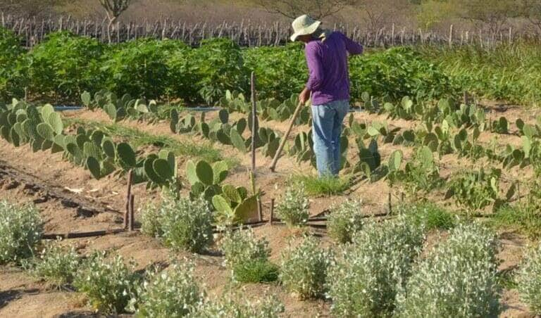 Evento discute obtenção de terras para destinação à reforma agrária - Foto: Divulgação/Agência Brasil