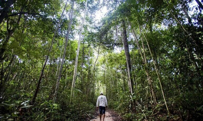 Fundo Clima terá até R$ 15 bilhões em parcerias com BID e Banco Mundial - Foto: Marcelo Camargo/Agência Brasil