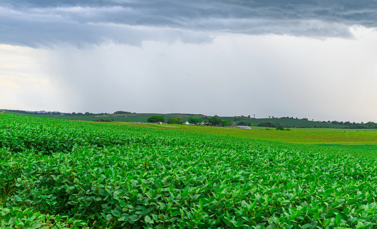 Inmet divulga dados que mostram o enfraquecimento do El Niño - Foto: Divulgação