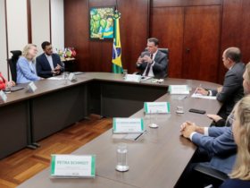 Ministério da Agricultura debate boas práticas do agro brasileiro com banco de desenvolvimento alemão - Foto: Divulgação