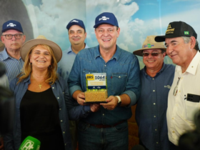 Ministro exalta trabalho das cooperativas de produção em evento no Paraná - Foto: Divulgação/Mapa