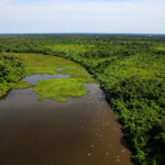 Investimentos em infraestrutura impulsionam o turismo no Pantanal de Mato Grosso Crédito - Marcos Vergueiro/Secom-MT