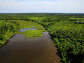 Investimentos em infraestrutura impulsionam o turismo no Pantanal de Mato Grosso Crédito - Marcos Vergueiro/Secom-MT