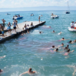 MTur alerta para riscos de afogamento nas praias durante o carnaval - Foto: Divulgação/MTur