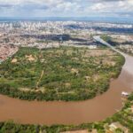 Pantanal: mesmo após chuvas, rios seguem com níveis abaixo da média para o período - Foto: Divulgação